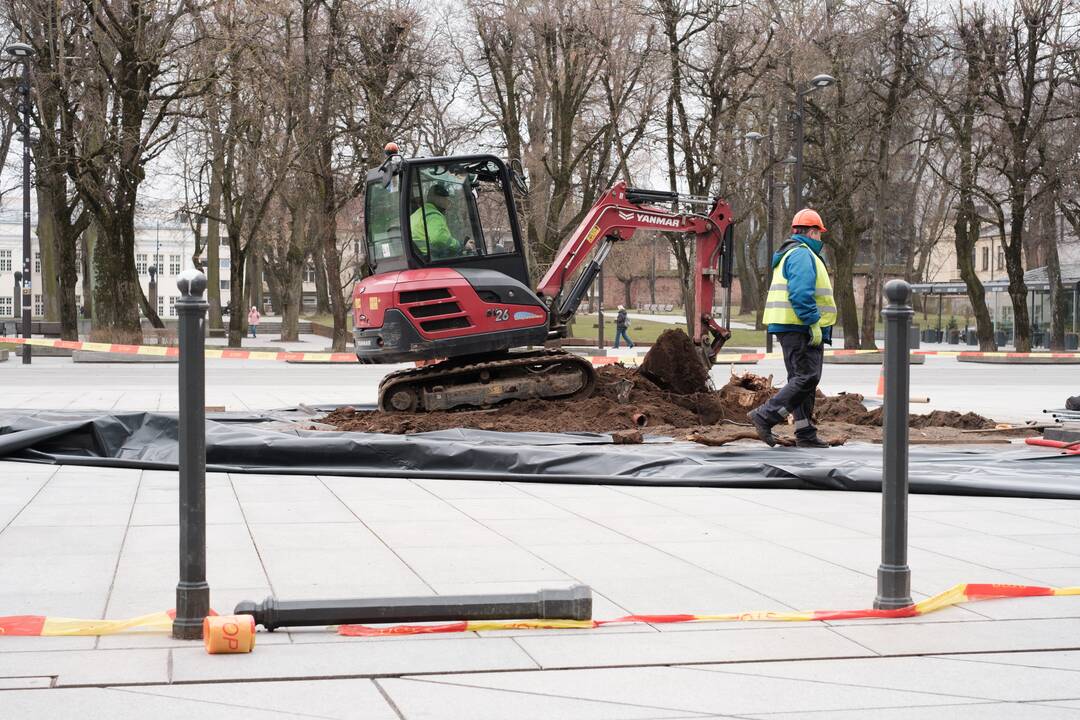 Naujai susodintos liepos Laisvės alėjoje