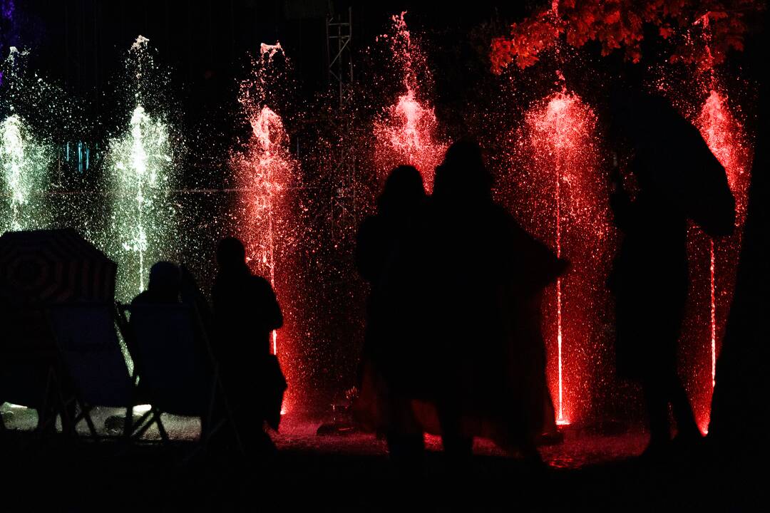 „Botaninių naktų“ magija ir koncertas