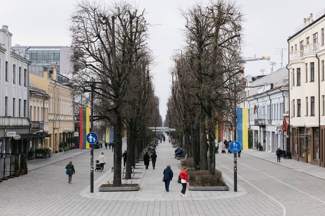 Kauniečių diena (2025 kovo 13 d.)