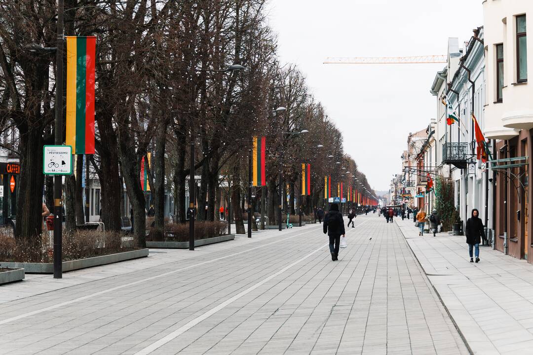 Šventinės dekoracijos Laisvės alėjoje