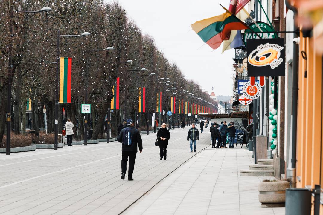 Šventinės dekoracijos Laisvės alėjoje