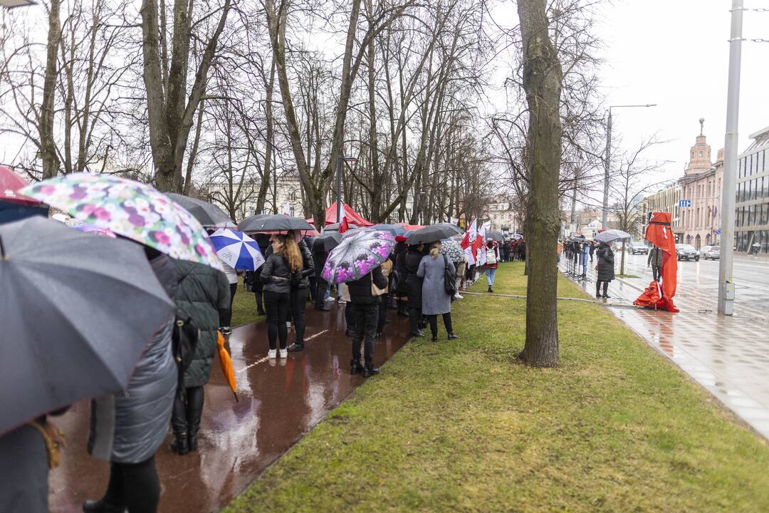 Mitingas „Apginti tautinių mažumų mokyklas Trakų rajone“