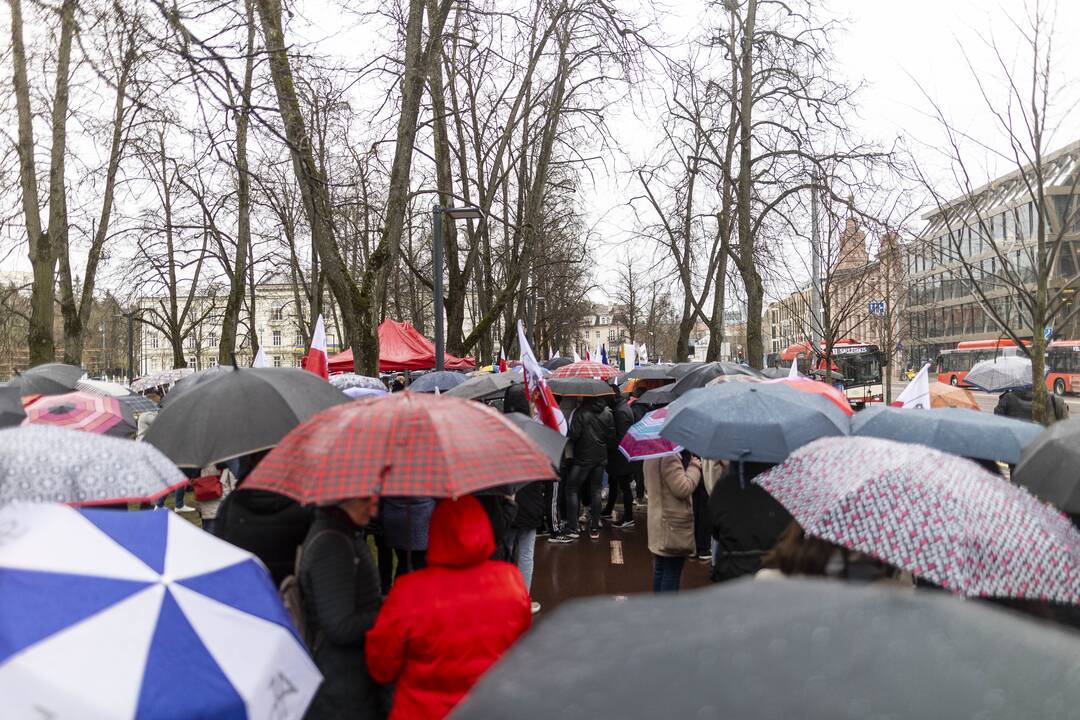 Mitingas „Apginti tautinių mažumų mokyklas Trakų rajone“