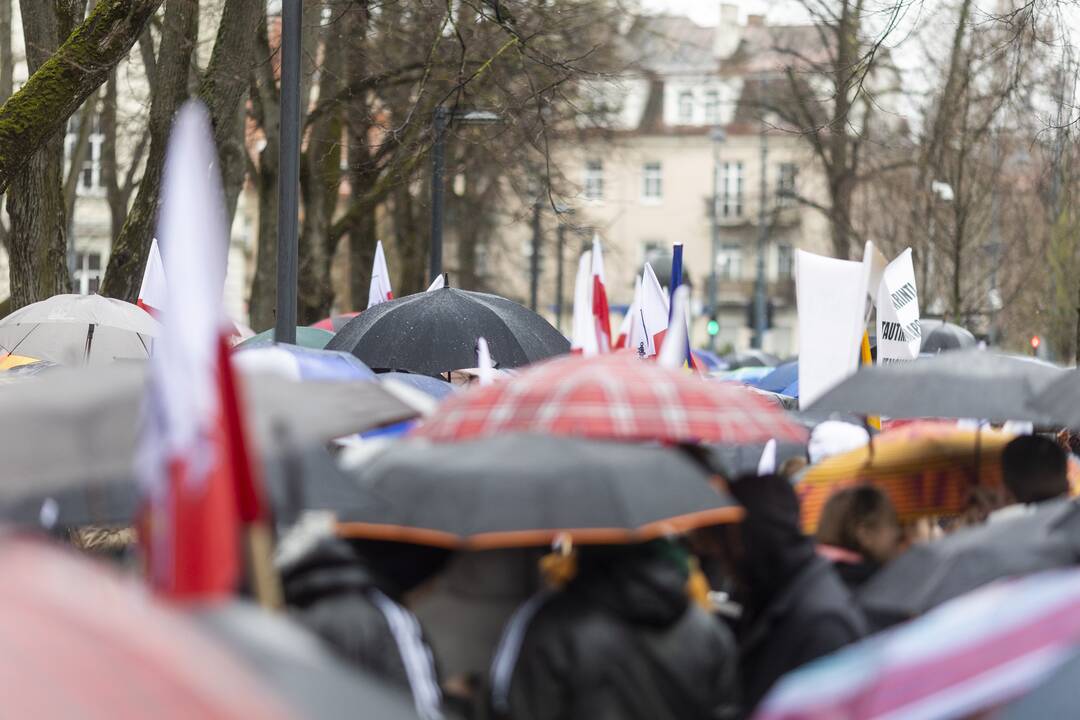 Mitingas „Apginti tautinių mažumų mokyklas Trakų rajone“