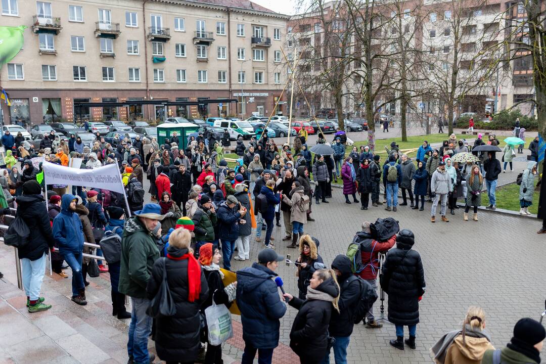 Prie Seimo – protestas dėl plynųjų miškų kirtimų