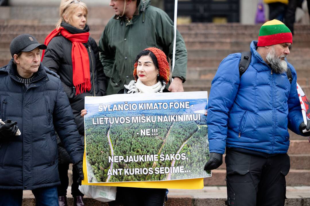 Prie Seimo – protestas dėl plynųjų miškų kirtimų