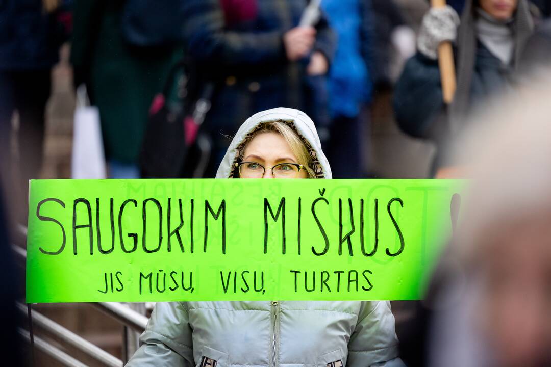 Prie Seimo – protestas dėl plynųjų miškų kirtimų