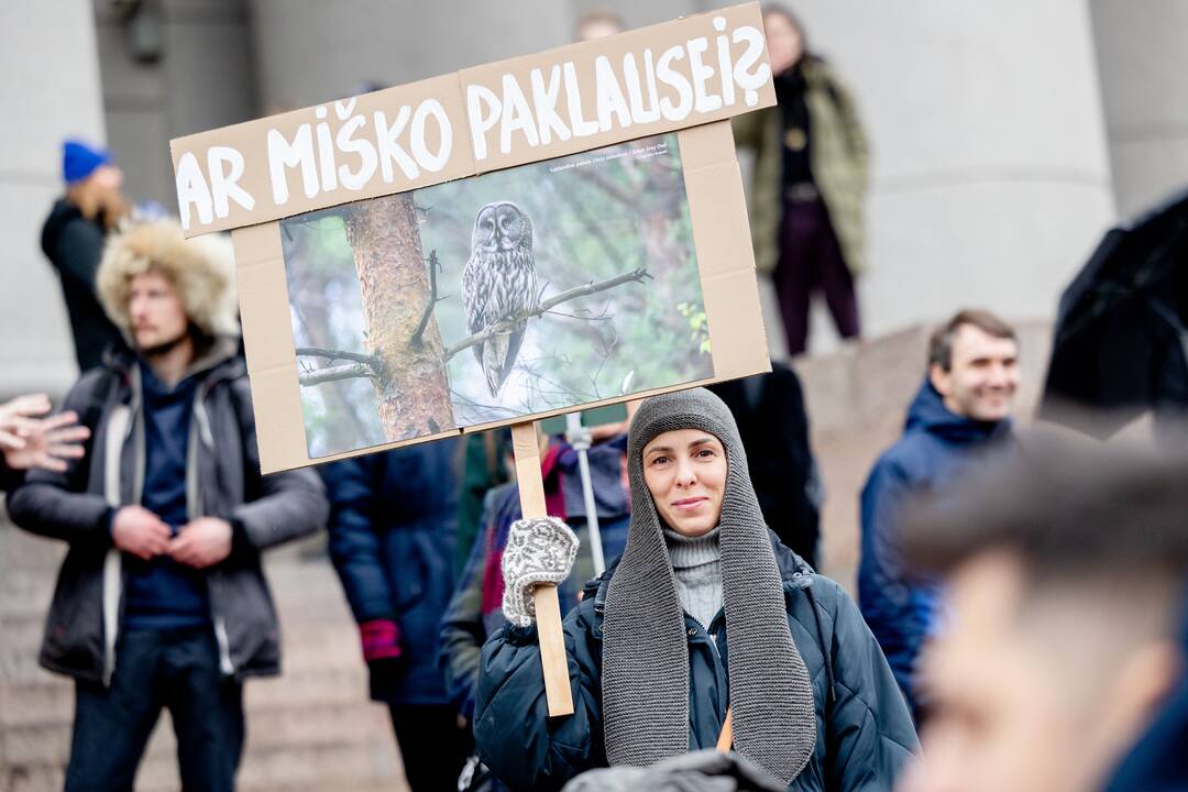 Prie Seimo – protestas dėl plynųjų miškų kirtimų
