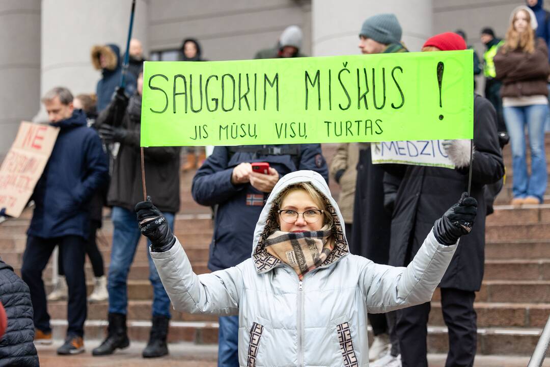 Prie Seimo – protestas dėl plynųjų miškų kirtimų