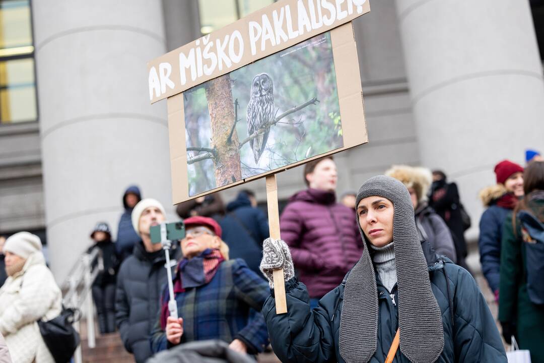 Prie Seimo – protestas dėl plynųjų miškų kirtimų
