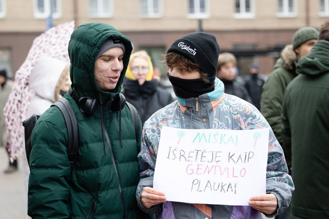 Prie Seimo – protestas dėl plynųjų miškų kirtimų