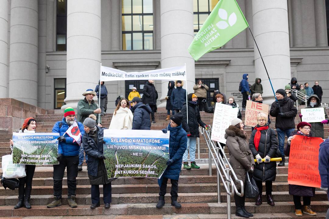 Prie Seimo – protestas dėl plynųjų miškų kirtimų
