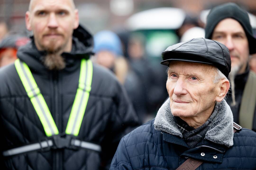 Prie Seimo – protestas dėl plynųjų miškų kirtimų