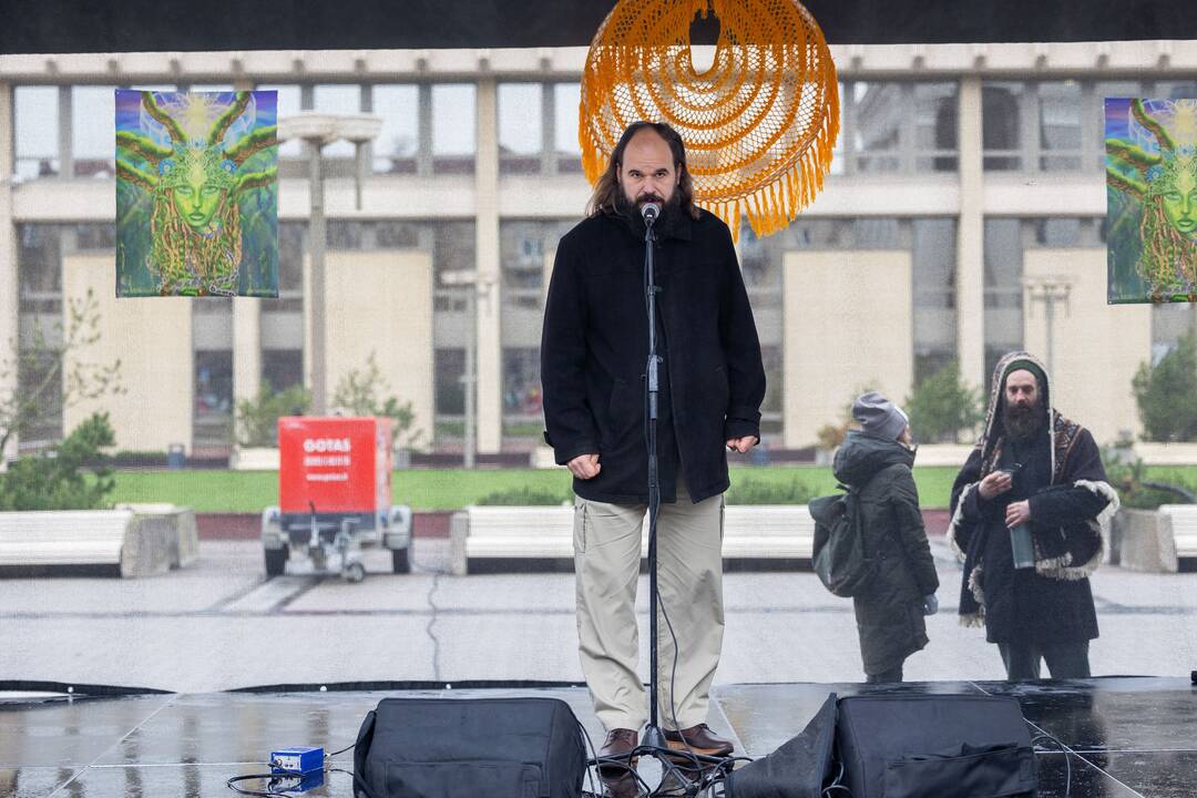 Prie Seimo – protestas dėl plynųjų miškų kirtimų