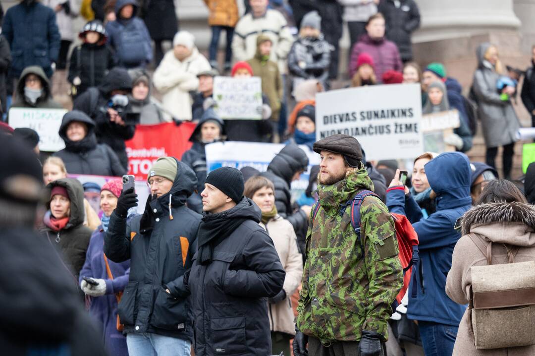 Prie Seimo – protestas dėl plynųjų miškų kirtimų
