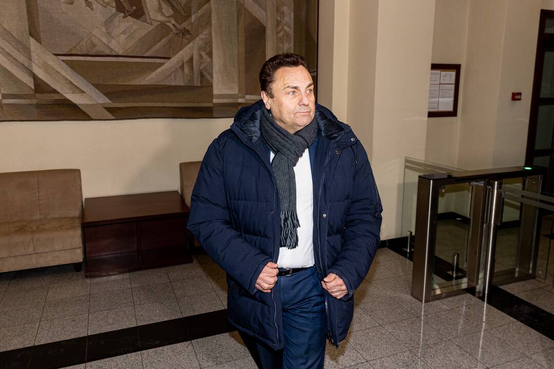 P. Gražulis Konstituciniame Teisme