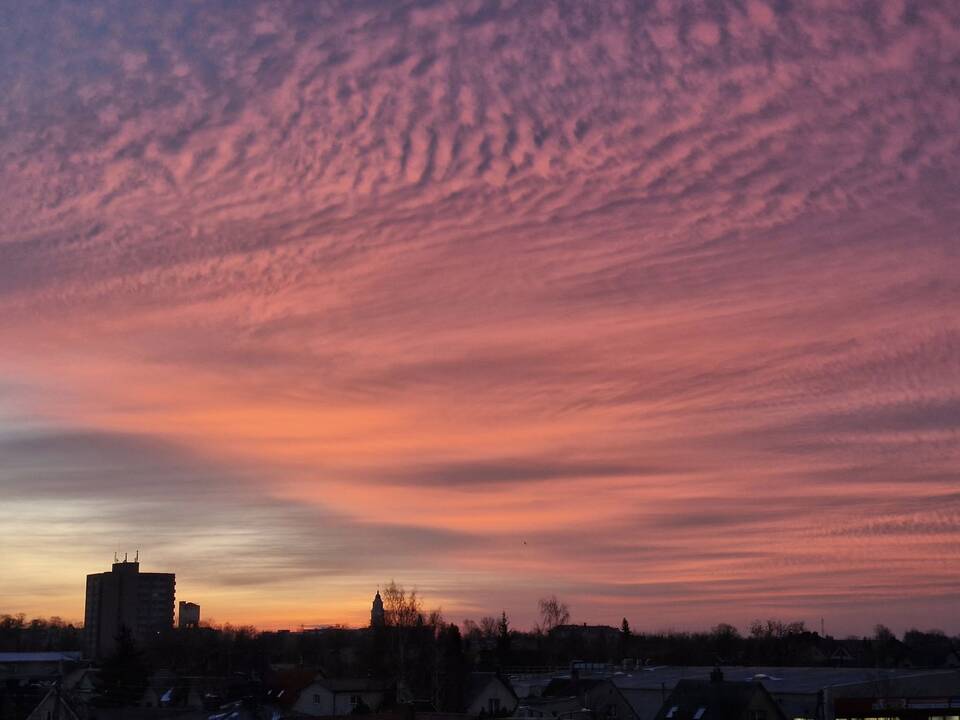 Meteorologai – apie išskirtinius metus Lietuvoje