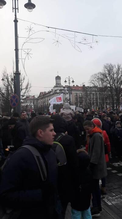 Protestas „Paskutinis skambutis“