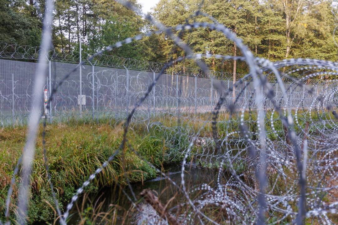 VSAT: pasienyje su Baltarusija apgręžta 20 migrantų 
