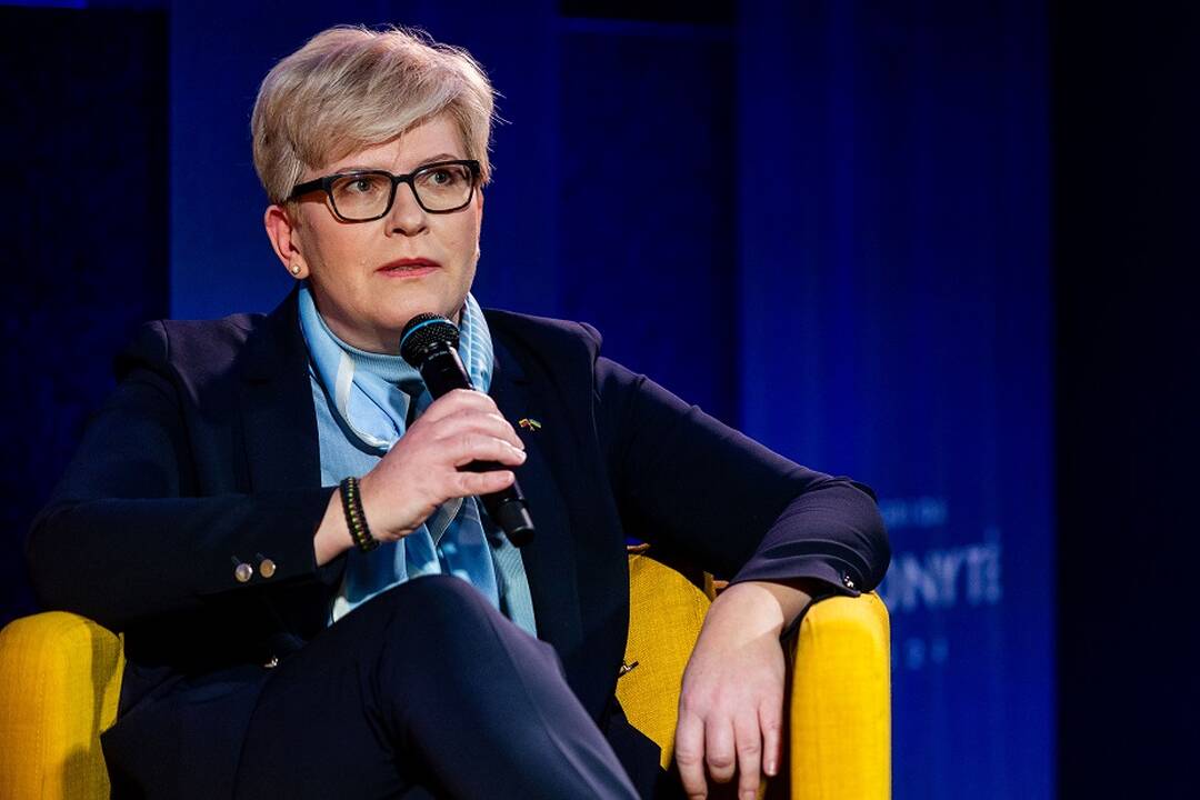 Ragina kandidatus į prezidentus vienytis, kad I. Šimonytė nepatektų į antrą turą