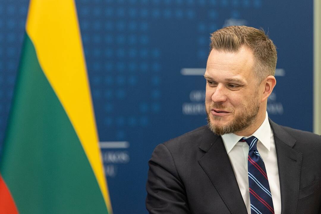 G. Landsbergis įvardijo galimus kandidatus į prezidentus