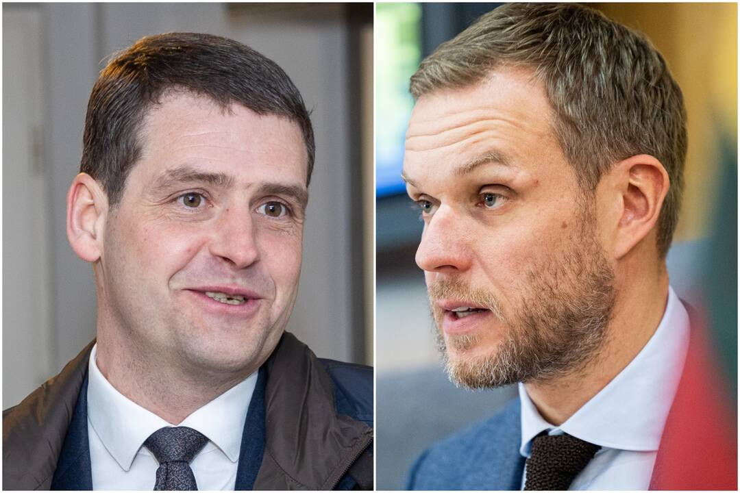 Remigijus Žemaitaitis (kairėje) ir Gabrielius Landsbergis