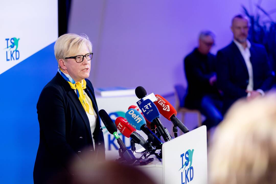 2024-ųjų Seimo rinkimai:  TS-LKD nariai laukia rinkimų rezultatų