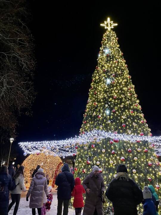 Biržuose sužibo žaliaskarė