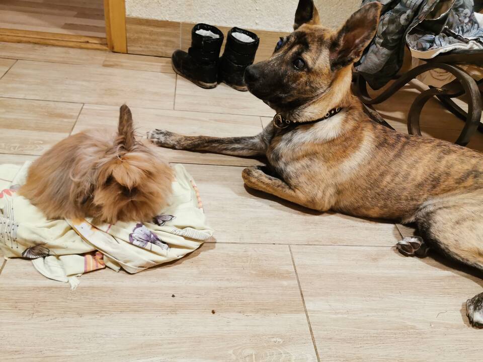 Komanda: Rūta vertina vyro Roberto palaikymą ir pagalbą, be jo būtų sunkiau susidoroti su tenkančiais iššūkiais.