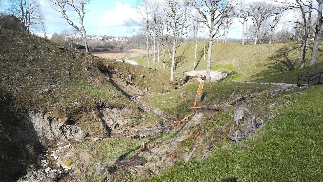 Nuostaba: šį pavasarį Kalniškės (Gargždų) piliakalniu pasigrožėti atvykę žmonės mato ir nuogriuvas.