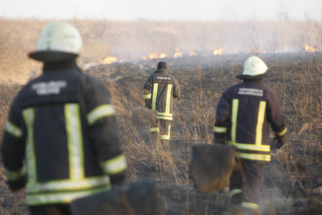 Skaičiai: ugniagesių statistika rodo, kad per pirmus keturis šių metų mėnesius būtent Klaipėdos rajone kilo daugiausia gaisrų iš visų apskrities savivaldybių.