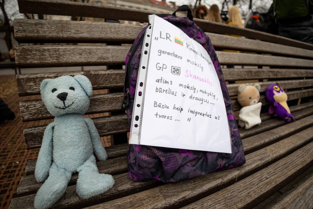 Protestas Vilniuje prieš galimybių pasą vaikams