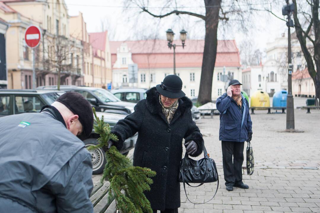 Eglučių šakų dalinimas Rotušės aikštėje