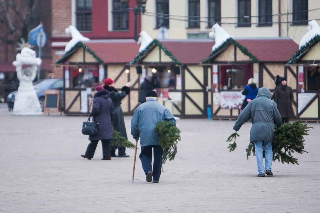 Eglučių šakų dalinimas Rotušės aikštėje