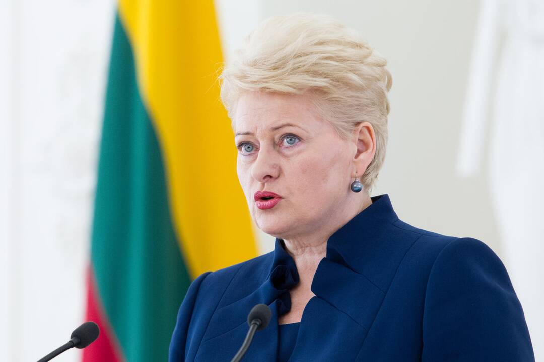 Prezidentė – už specialų Pietryčių Lietuvos plėtros fondą