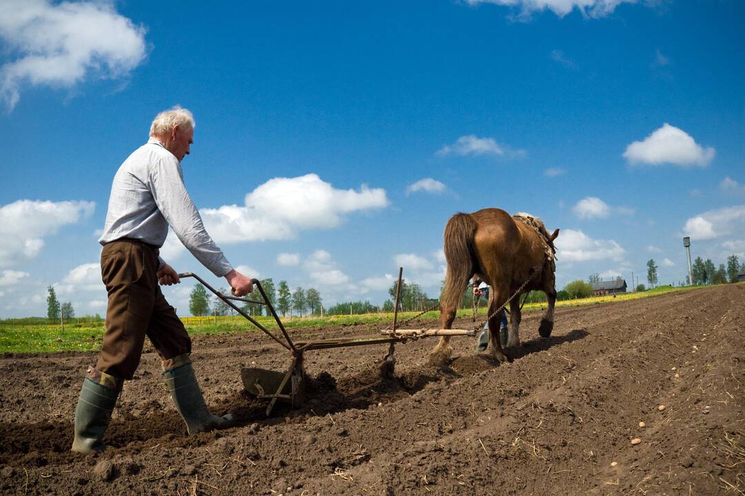 Žemės vos nepardavė rusams