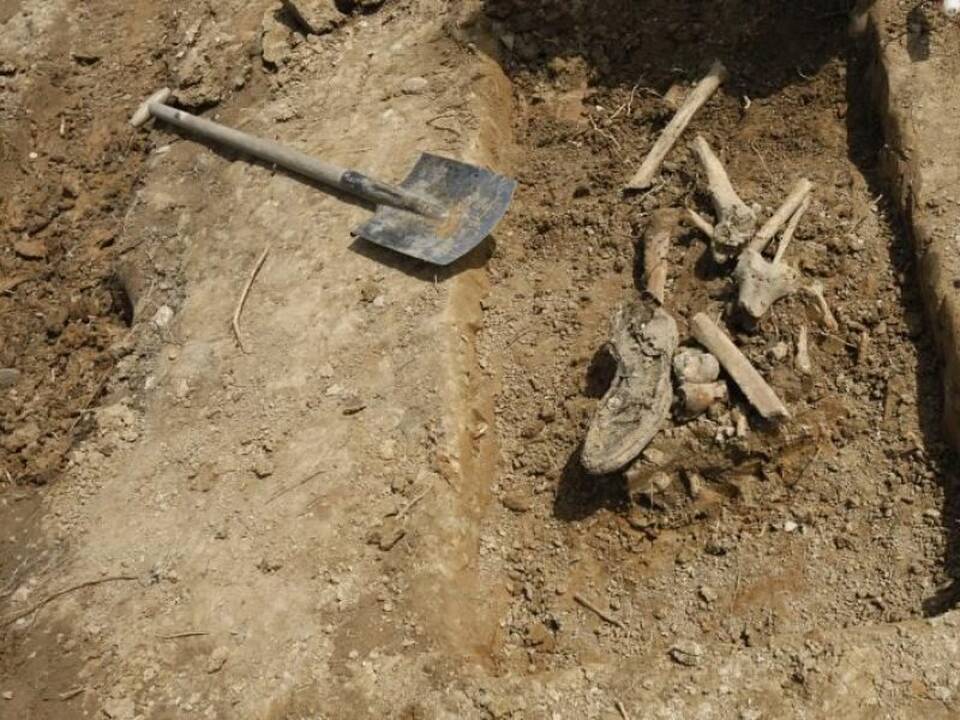 Asociatyvi nuotr.