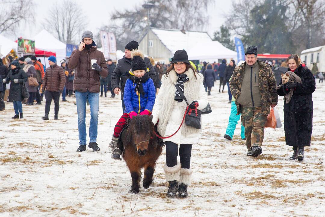 Tradicinės žirgų lenktynės „Sartai 2019“