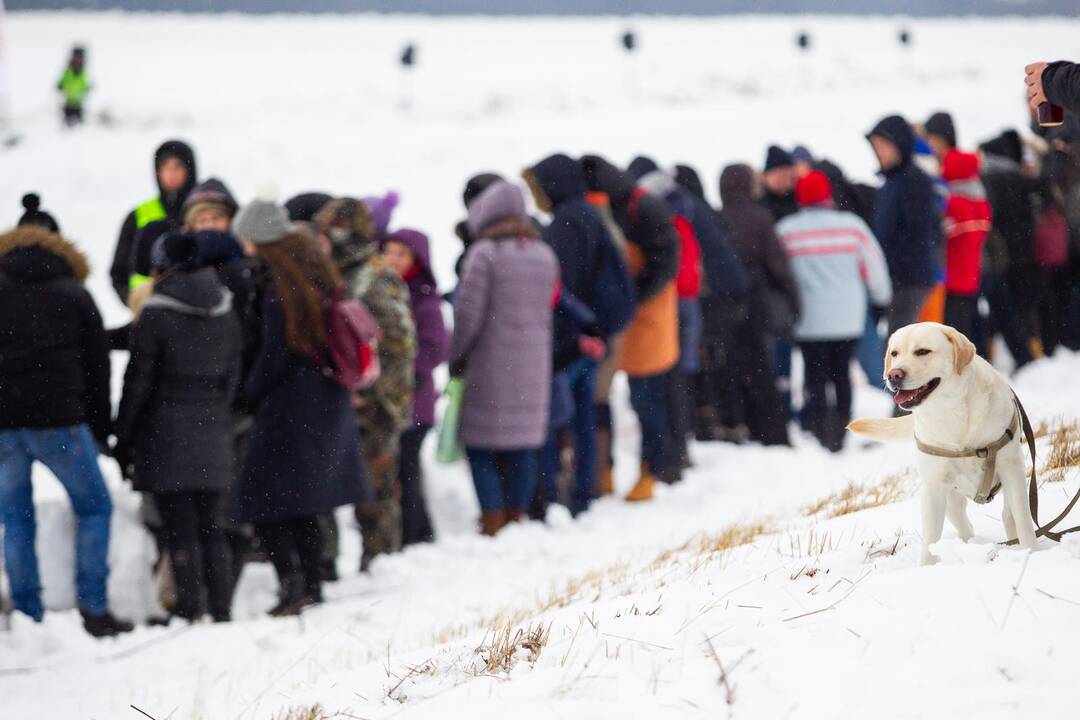 Tradicinės žirgų lenktynės „Sartai 2019“