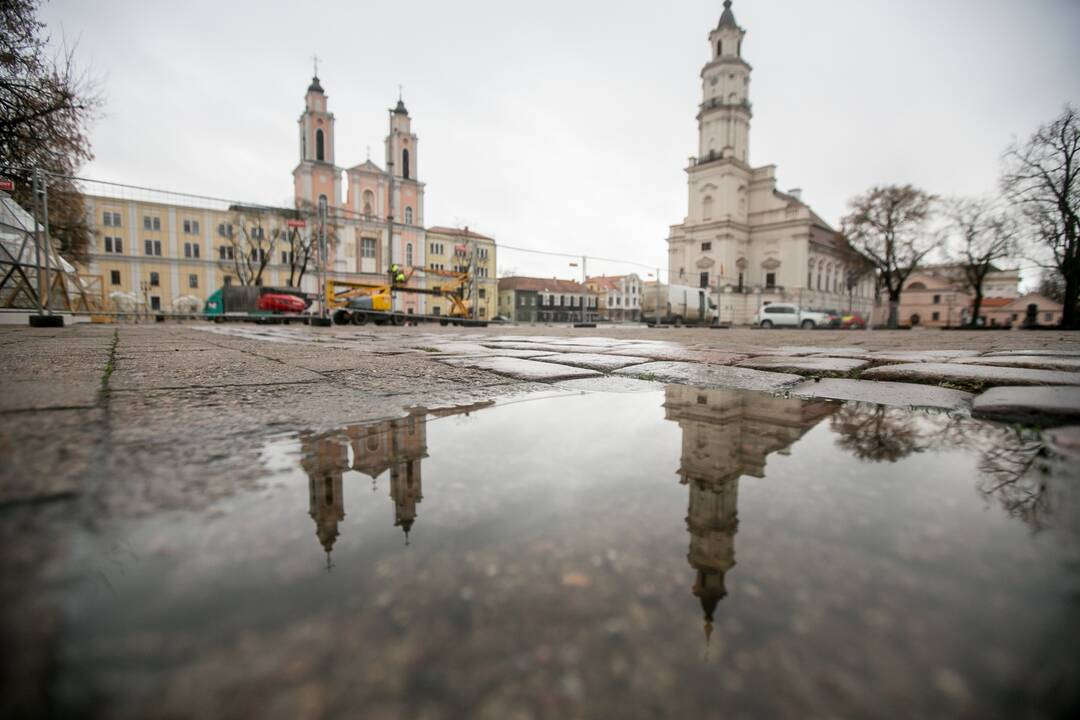 Kauno kalėdinės eglutės montavimo darbai įgauna pagreitį
