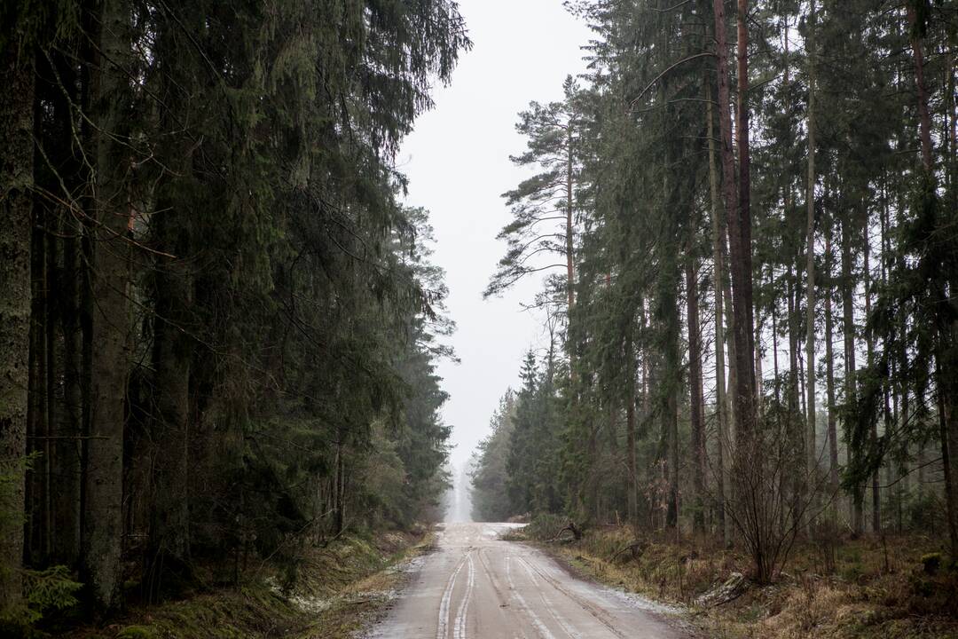 Miško lankytojams – miškininkų ir pareigūnų dovanos