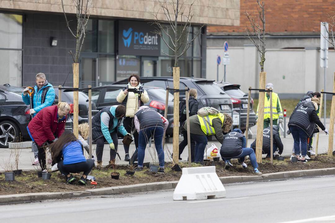 Vilniečiai kyla į Žaliąją bangą