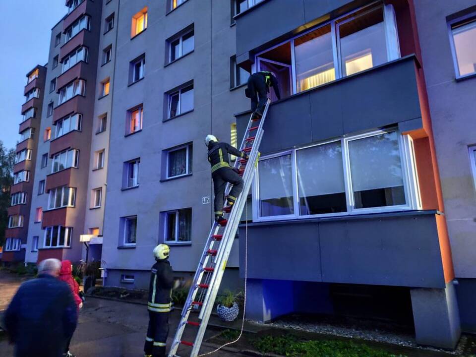 Botanikos sode pražydo tulpmedžiai