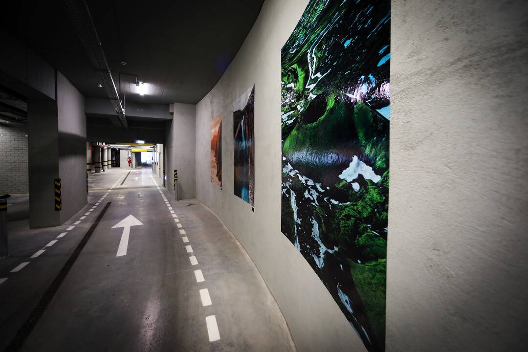 Vaizdai: Islandijoje gyvenančio menininko darbuose vyrauja šios šalies gamta ir žmonės.