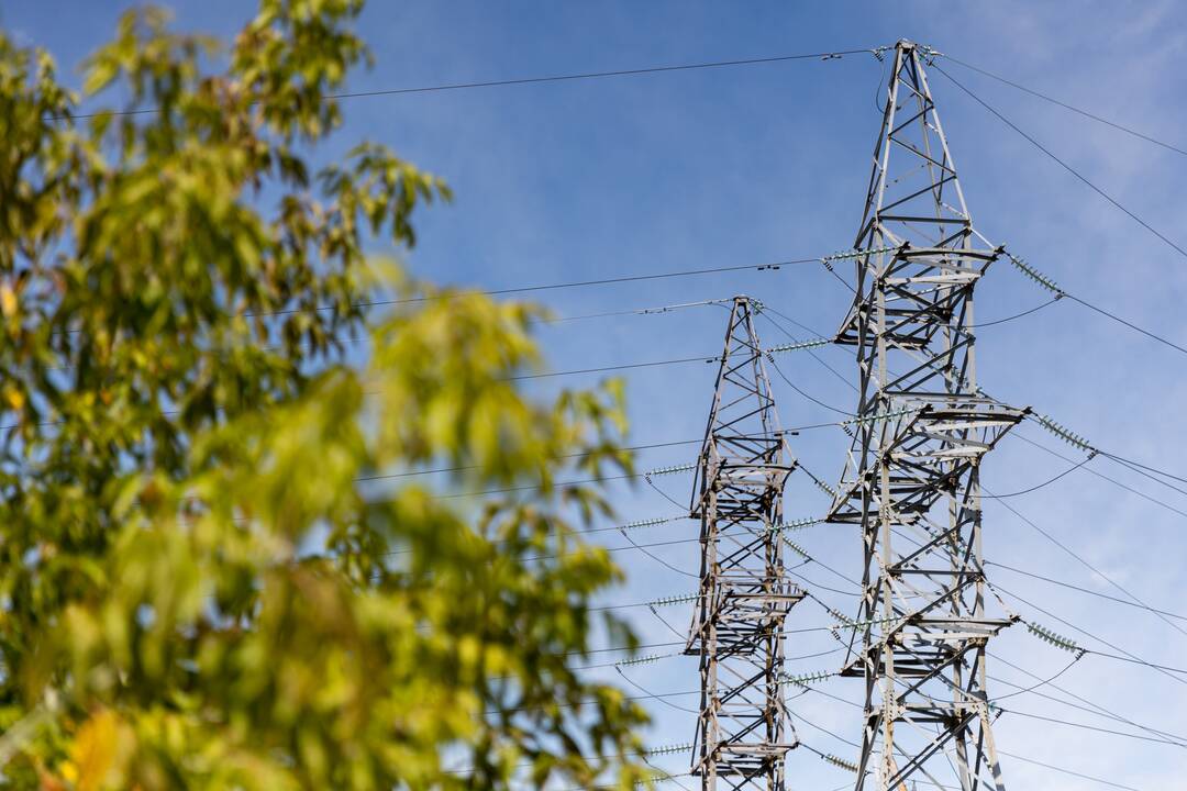 Ekonomistai ramina: elektra turėtų būti pigesnė nei pernai