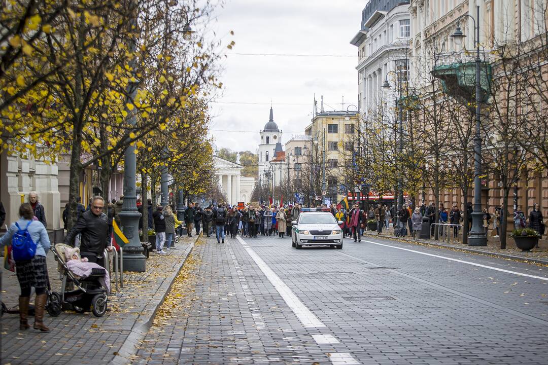 A. Astrauskaitės mitingas prieš pandemijos valdymą Vilniuje