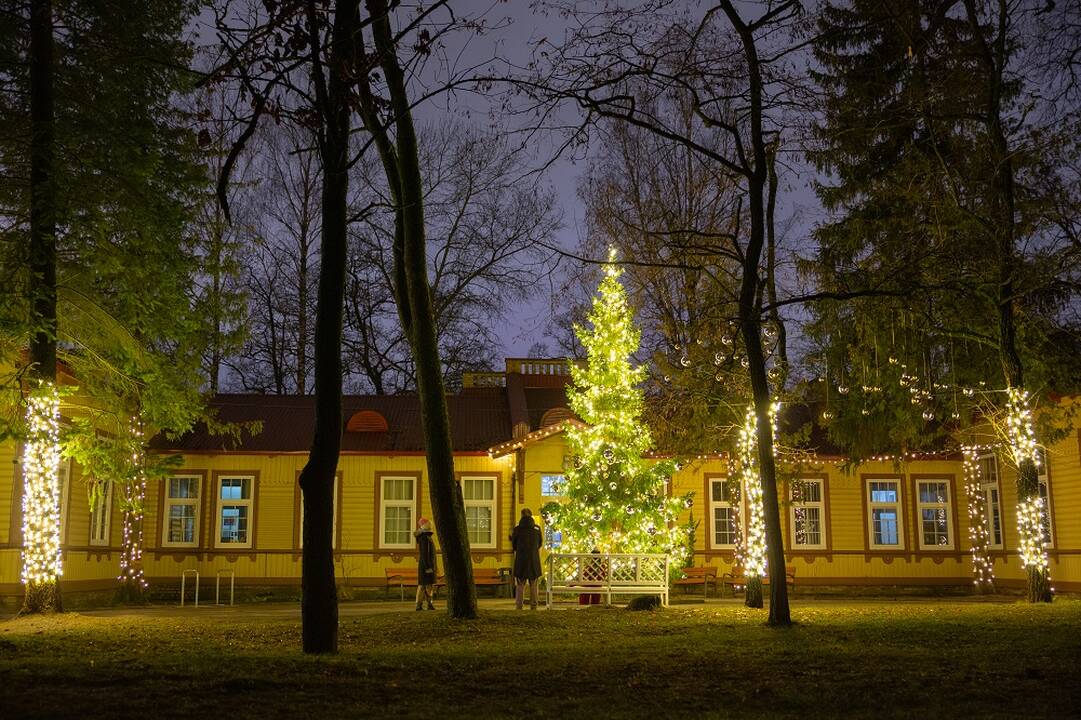 Vilniuje sužibo dešimtys Kalėdų eglučių