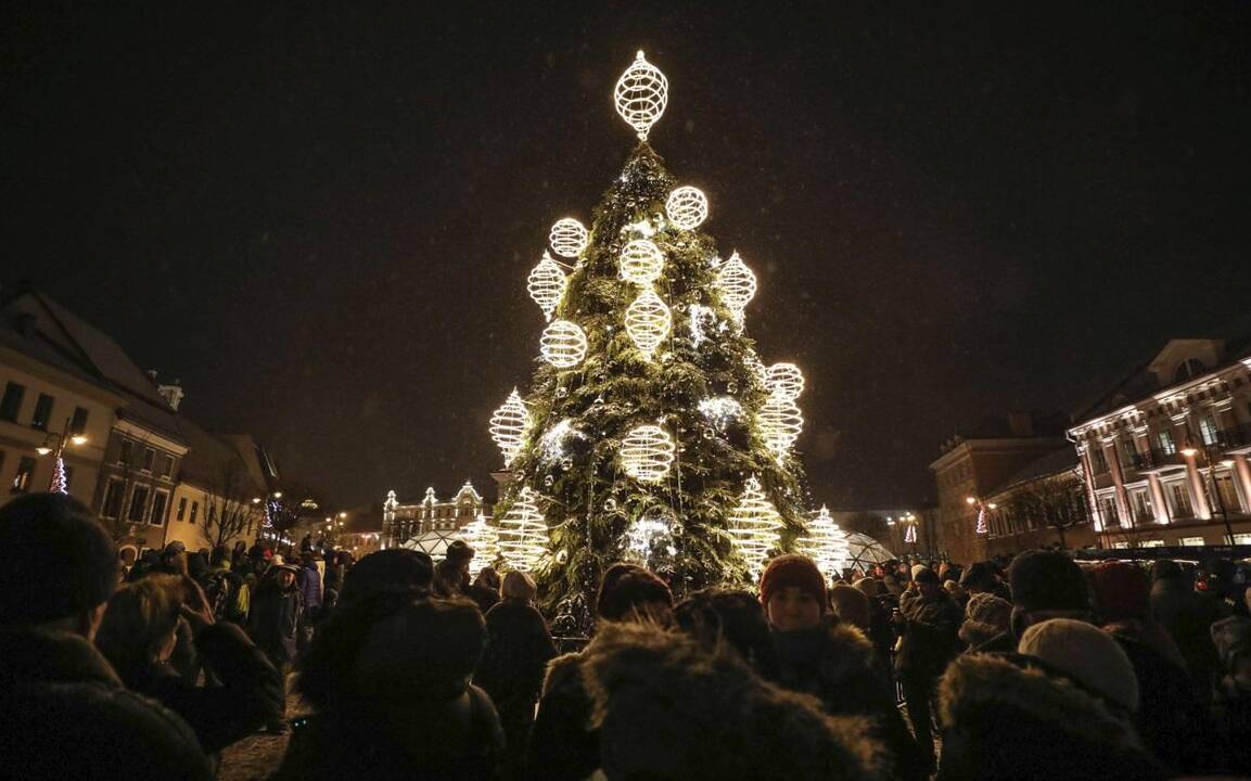 Sostinės Rotušės aikštėje nušvito Kalėdų eglutė