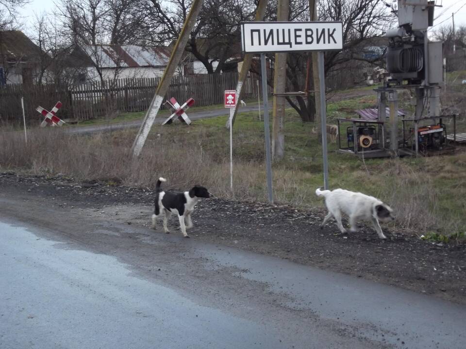 Rytų Ukraina. Gyvenimas prie kontaktinės linijos