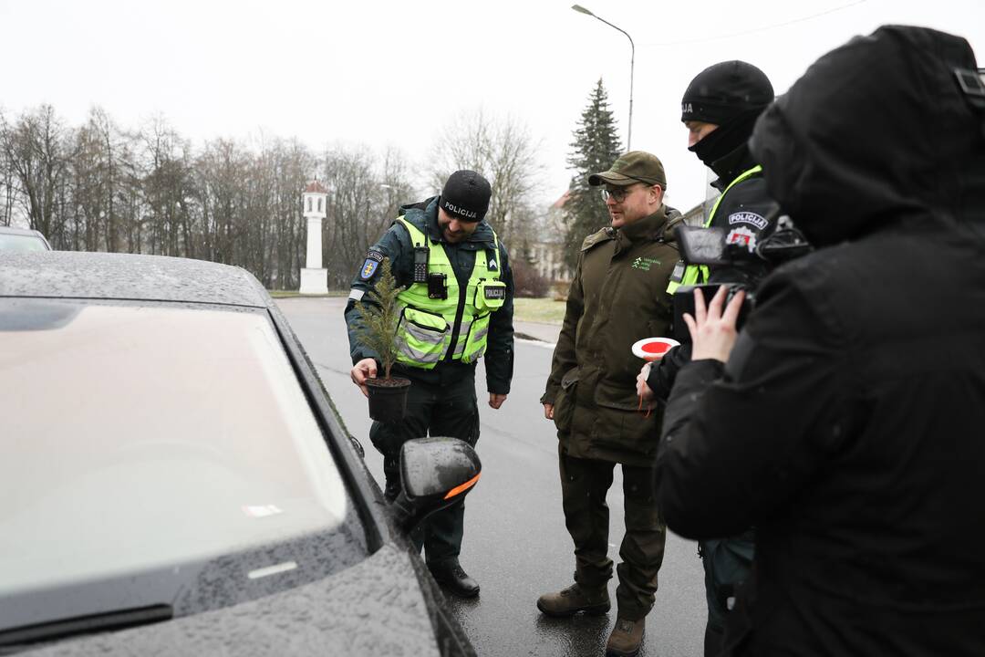 Miškininkų ir pareigūnų prevencinė akcija „Eglutė“